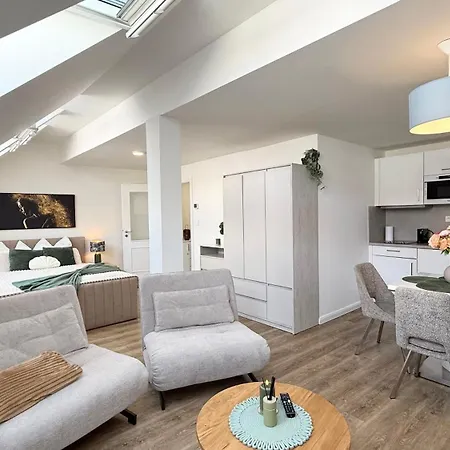 Apartament Stylovy Petrska V Historickem Centru Prahy *
